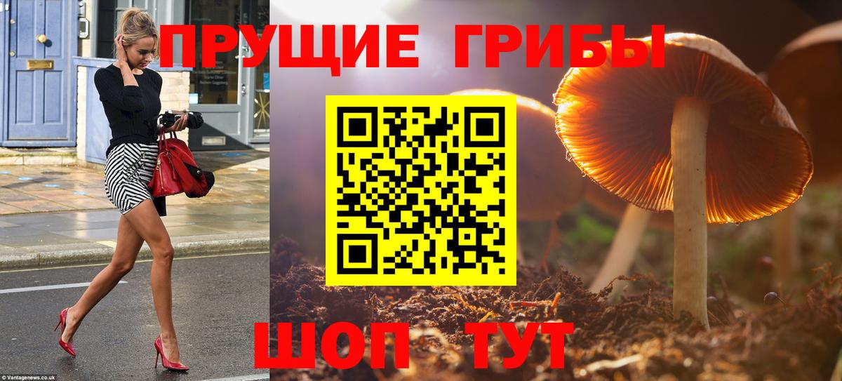Серпухов  Галлюциногенные грибы Psilocybine cubensis  купить  сайты  Вход с VPN 