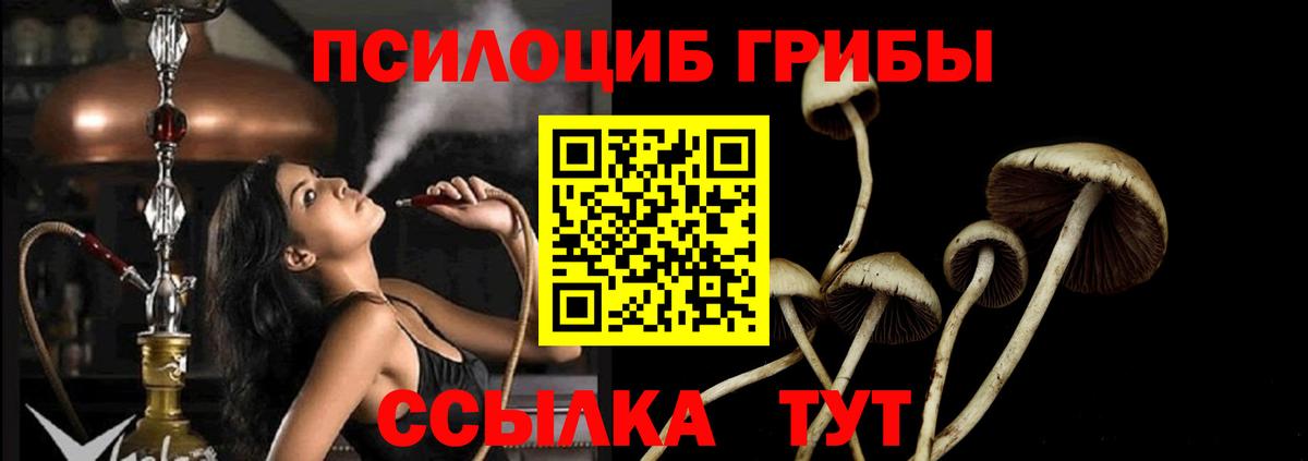 Псилоцибиновые грибы прущие грибы Серпухов